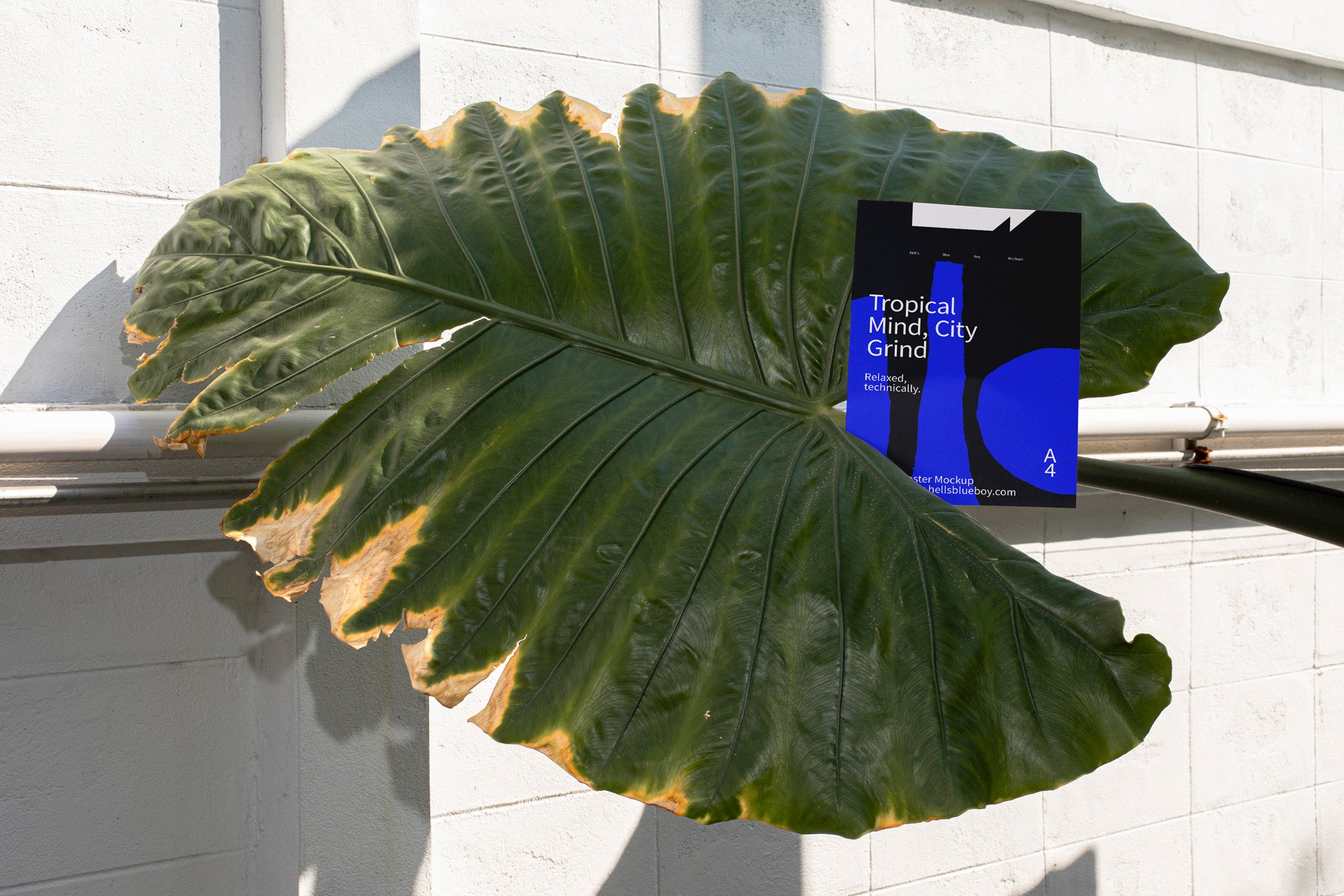 Outdoor poster mockup placed between large elephant ear leaves.